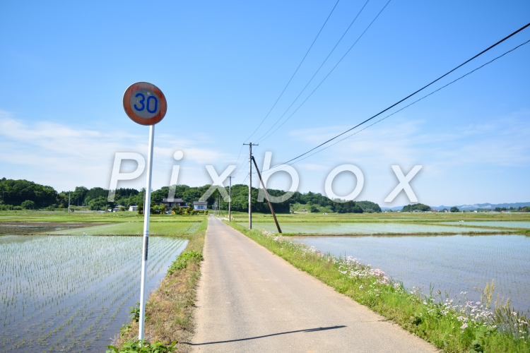 田舎道の写真