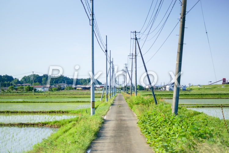 田舎道の写真