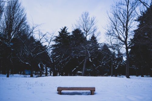 雪が積もるベンチの写真