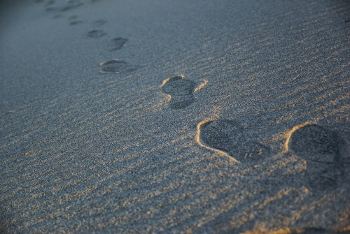 砂浜に残る足跡の写真