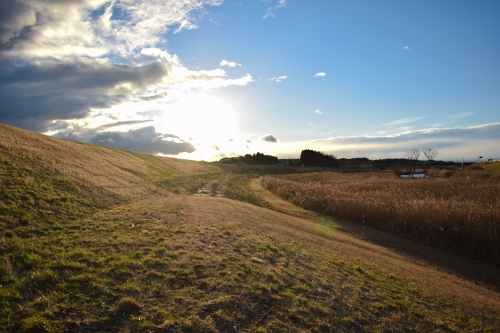 夕日の写真