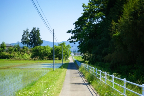 晴天の下のびる田舎道の写真