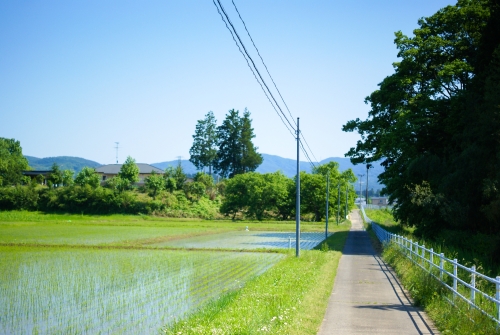 田舎道の写真