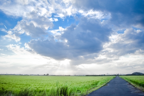 曇りがかった青空と田舎道の写真