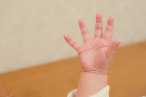 赤ちゃんの手のひらの写真