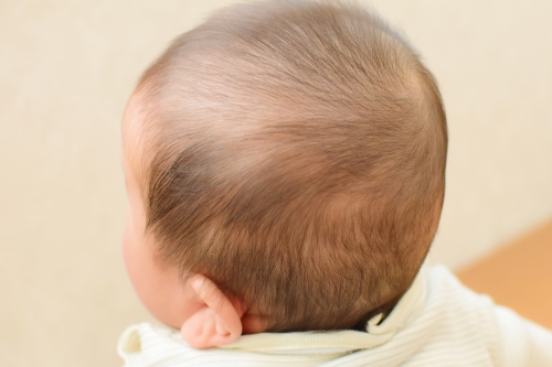 赤ちゃんの後頭部の写真
