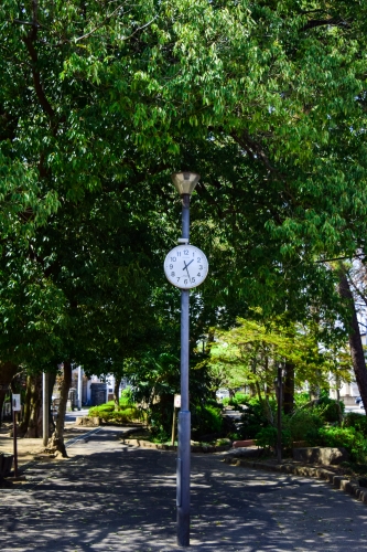 木陰の時計の写真